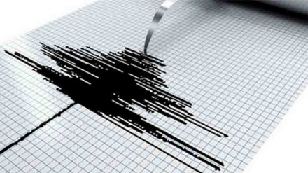  Forte scossa di terremoto in Nuova Zelanda