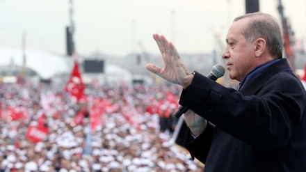 埃尔多安认为：欧安组织应认清自己的位置