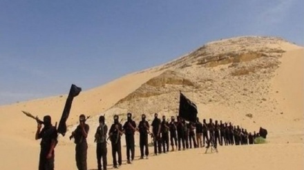 דאעש נטל אחריות על מתקפה בצפון סיני שבמצרים