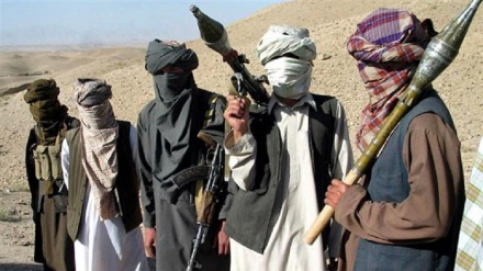 塔利班宣称对袭击坎大哈事件负责