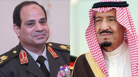 Misri yakataa kuburuzwa na Saudia; yapinga vikwazo  dhidi ya Hizbullah ya Lebanon