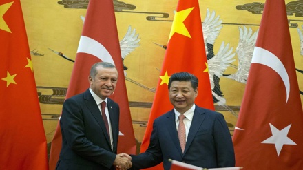 中国国家主席强调：加强中土在反恐领域的合作