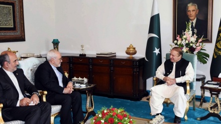 纳瓦兹·谢里夫：损害伊朗就是损害巴基斯坦