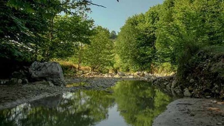 La primavera naturaleza en Mazandaran (norte de Irán)