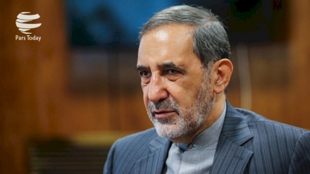 韦拉亚提：人民的参与是伊朗伊斯兰共和国强大的主要因素