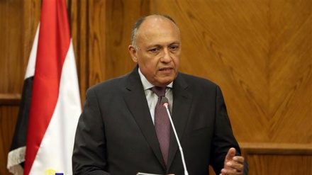 Egypt defends Libya airstrikes, says terror training camps were destroyed