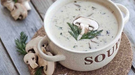 Ғизоҳои муфид барои сармохурдагӣ