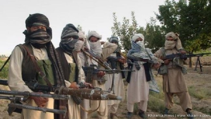 کشته شدن یک عضو طالبان در کابل