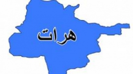 انتقاد از انتصاب کدرهای غیرهراتی توسط مسئولان دولت وحدت ملی در هرات