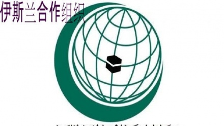 伊斯兰合作组织官员：伊斯兰世界的青年是离经叛道组织政策的受害者