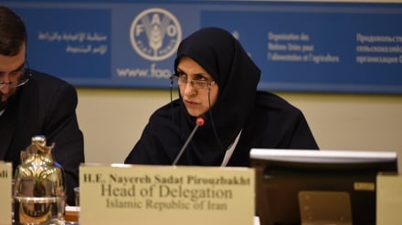 انتخاب دوباره ایران به عنوان هماهنگ کننده کمیته خاور نزدیک «کدکس»