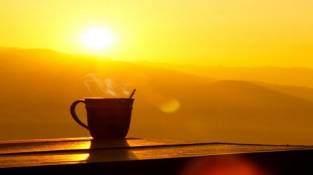 Фоидаҳо ва зарарҳои нури хуршед