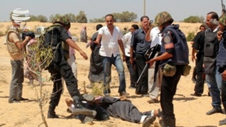 मिस्र में 29 आतंकवादी ढ़ेर 