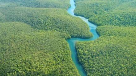 Amazzonia, nel 2020 devastati 8.500 kmq di foreste