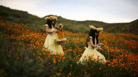 Инсон ва табиат.(СУРАТЛАР)