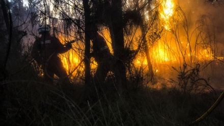 Portugal: Pelo menos 57 pessoas morreram em incêndio 