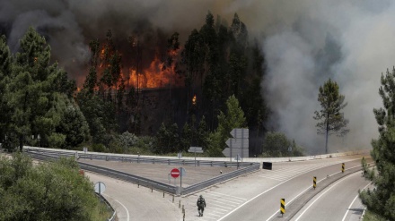 Incêndio destruiu fábricas e deixou mais de 200 pessoas no desemprego