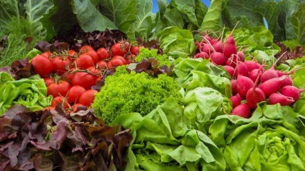 Feira agroalimentar reúne mais de 600 empresas em Lisboa