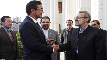 Larixhani: Populli i Afganistanit ka aftësi për të luftuar kundër terroristëve