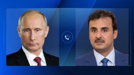 普京强调通过对话解决卡塔尔与四个阿拉伯国家的危机