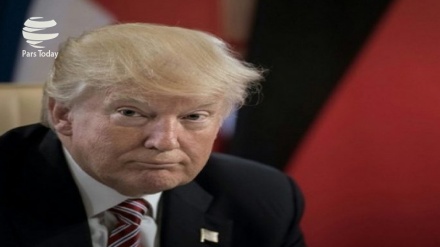 Trump envolvido em “fraude e evasão fiscal”, disse New York Time 