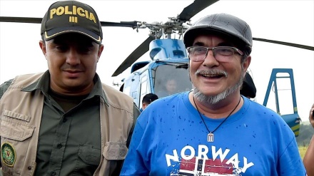 Colombia FARC rebels finish disarmament process: UN