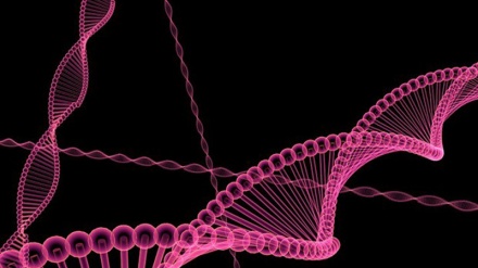 Il Dna come i mattoncini Lego, un kit per costruirlo