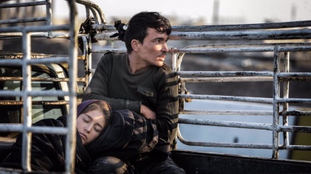 Një film iranian nominohet për çmimin e festivalit të Munihut