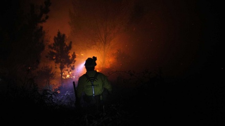 Espanha: 200 bombeiros continuam combate ao fogo na Andaluzia