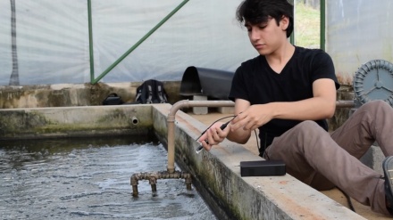 Projeto para otimizar produção de peixes representa o Brasil em 'Copa do Mundo' da tecnologia