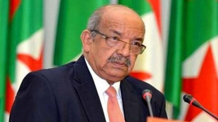 Algeria: Utatuzi wa mgogoro wa Libya utatimia bila uingiliaji wa kigeni