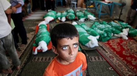 ２０００年以来、イスラエル軍により３０００人以上のパレスチナ人の子どもが殉教