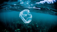 Zagađenje oceana plastičnim otpadom
