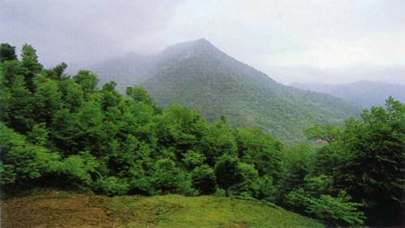 দেখব ঘুরে ইরান এবার: রুদবর গিলান