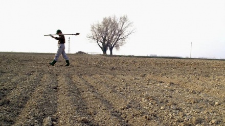 Italia regina nell’agricoltura “green”