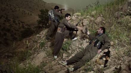 Türkiye'de 8 PKK'lı öldürüldü