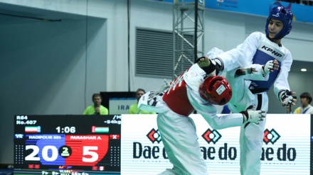 Svjetsko tekvondo prvenstvo u Južnoj Koreji