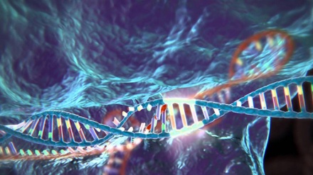 Crispr, la tecnica taglia-incolla del Dna compie 10 anni