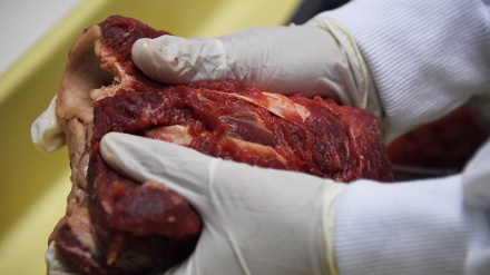  Países importadores aumentam testes para carne do Brasil