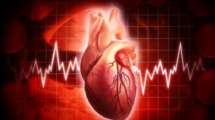 Асароти рузадорӣ бар системаи қалбӣ 