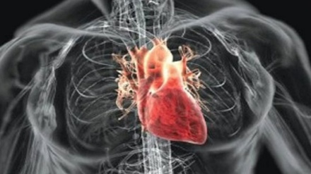 Уфунатҳо бо қалб чӣ мекунанд?