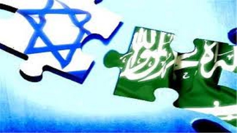 谢赫·伊斯拉姆：沙特家族与犹太复国主义是一丘之貉