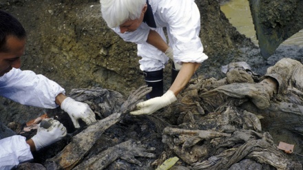 Shtetet perëndimore faktorë kryesor i gjenocidit