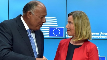 मिस्रः क़तर के पास हमारी शर्तों को स्वीकार करने के अलावा कोई विकल्प नहीं है 