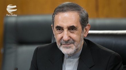 维拉亚提：决不允许美国检查伊朗的军事中心