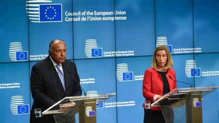 Egypt rejects EU calls for compromise on Qatar dispute