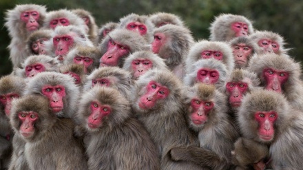 Табиат фотосуратлар танловининг ғолиблари.(СУРАТЛАР)
