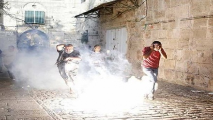 Mundo assiste passivamente as atrocidades do governo sionista contra o povo palestino