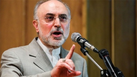 AEOI chief warns against sabotage acts against JCPOA