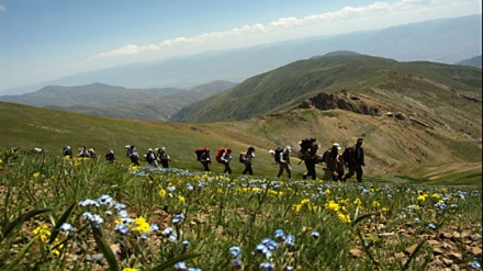 تاثیر فوری بهبود کیفیت هوا بر سلامتی